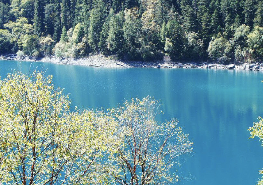 法蝉APP如何【天辰注册】