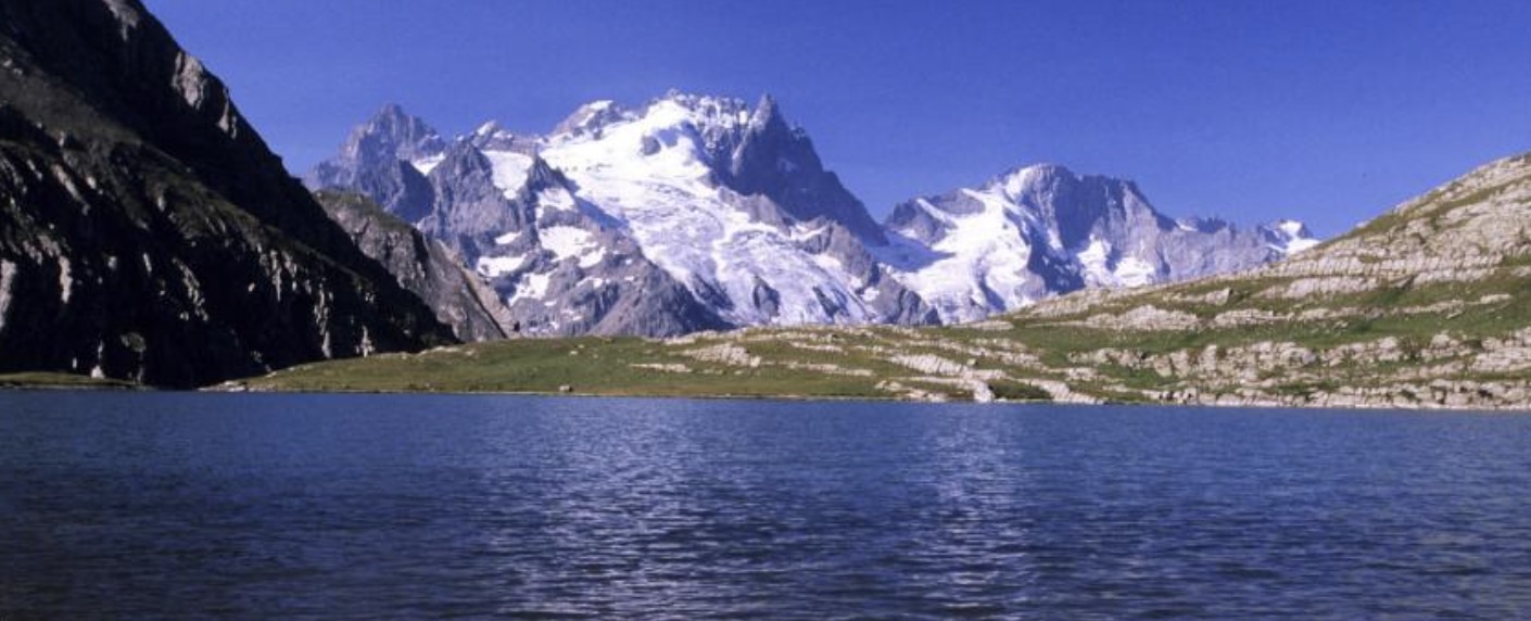 呼吸面罩【天辰注册】