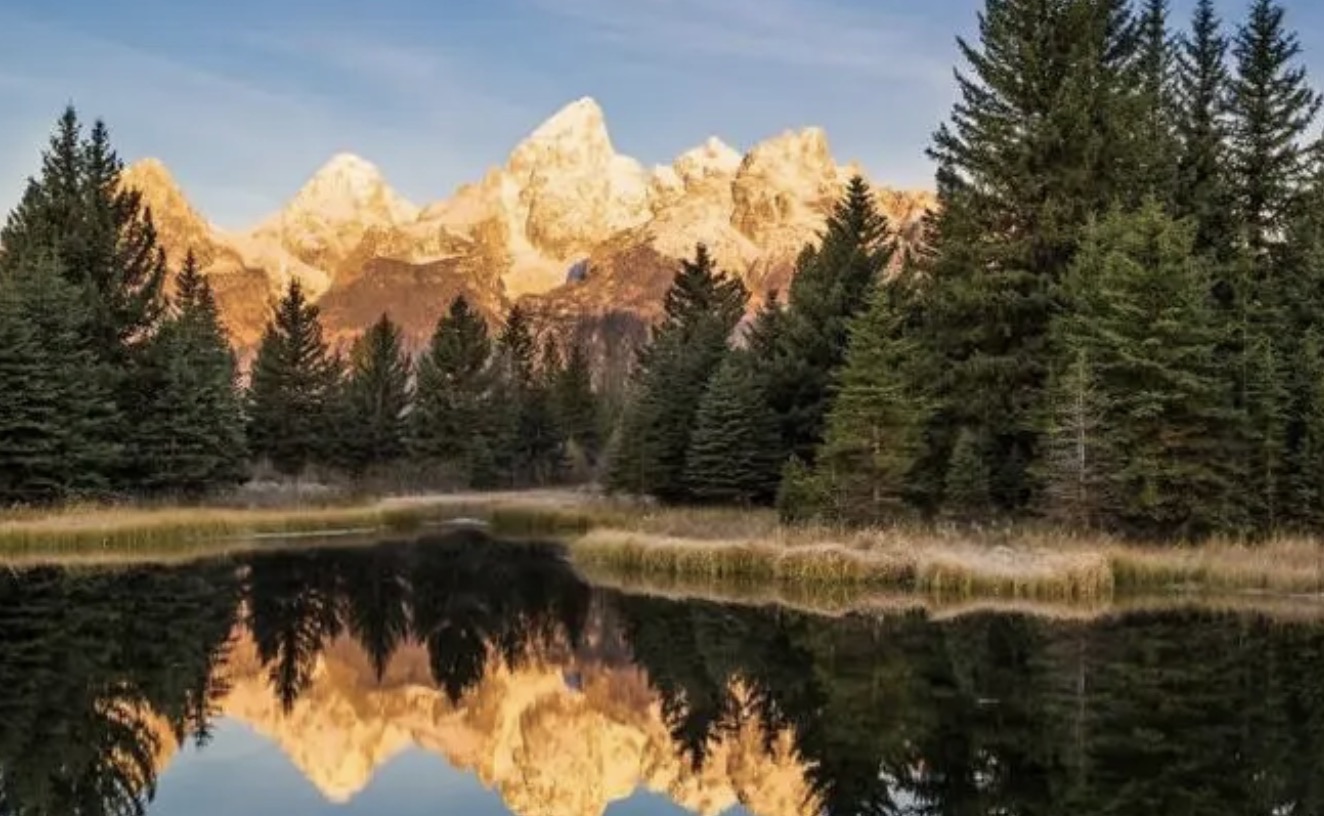 进行认证【天辰注册】